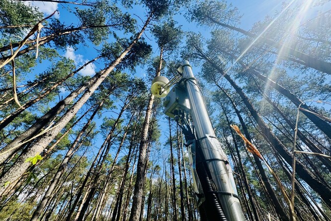 Jedna z monitorovacích stanic sítě DendroNetwork. Přístroje nepřetržitě zaznamenávají změny růstu stromů, jejich vodní režim společně s monitoringem mikroklimatických a půdních podmínek, což vědcům umožňuje sledovat reakci lesů na vlny horka a sucho v reálném čase.