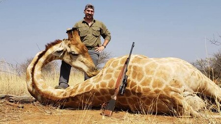 Komisař úřadu amerického státu Idaho pro správu divoké přírody Blake Fischer se po návratu z lovecké výpravy do Afriky pochlubil fotografiemi zastřelených zvířat, mimo jiné levharta, žirafy či paviánů. 