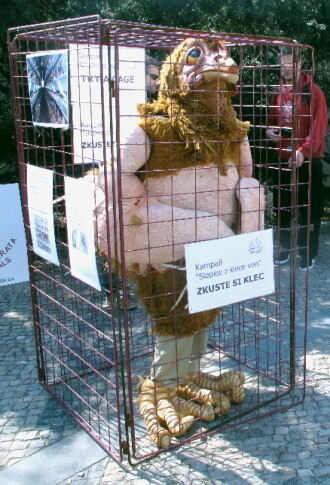 Slepice Hetty je maskot kampaně 