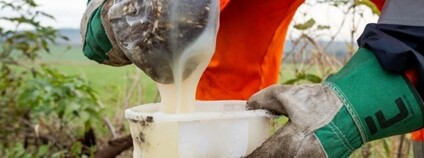  	Silničáři testují na Břeclavsku hydrogel, který má zlepšit kondici stromů Foto: Správa a údržba silnic Jihomoravského kraje 
