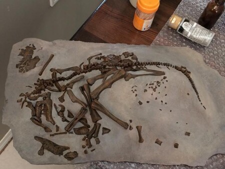 Vědci zkoumali embryo dinosaura Hypacrosaurus (na snímku).