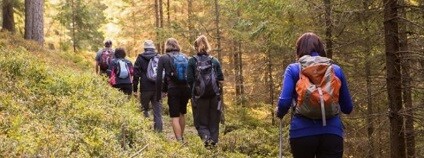 Foto: NP Šumava
