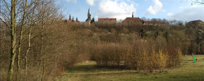 Bukovka a Ostrovecké údolí je dnes zčásti poněkud zpustlé území, které nejvíc navštěvují divoká prasata.