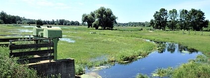 Foto: Jiří Netík 