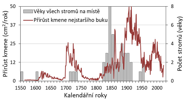 Graf získaný měřením letokruhů stromů na svahu Jánského vrchu ve Východním Krušnohoří. Čára značí každoroční přírůst kmene nejstaršího buku. Šířky letokruhů byly přepočítány na skutečnou plochu dřeva, která se každý rok vytvořila na obvodu kmene (tzv. přírůst na kruhové základně). Starší stromy vytvářejí dřevo na větším obvodu kmene, a proto i při tenkém letokruhu mohou vytvořit více dřeva než mladé stromy, které vytvářejí dřevo na tenkém kmeni. Výška sloupců v pozadí znázorňuje pro každé desetiletí počet zkoumaných stromů, které v té době začaly růst. Zatímco stromy starší než 400 let jsou na místě dva, většina stromů je 100-200 let stará.