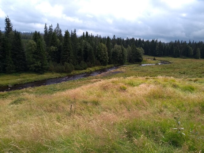 Jedna z nejkrásnějších částí Šumavy nedaleko Modravy.