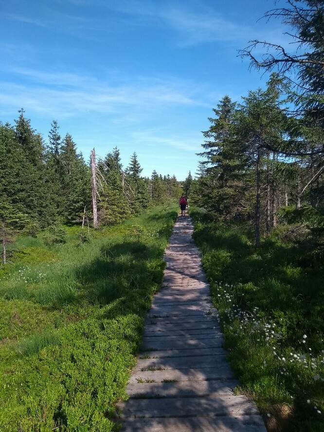 Česká krajina je moc pěkná, měli bychom si ji chránit. Environmentální kritéria by měla být nadřazena nad zjednodušeným bojem proti emisím uhlíku a za co nejvyšší podíl obnovitelných zdrojů. Jizerská magistrála – část treku okolo Česka. 