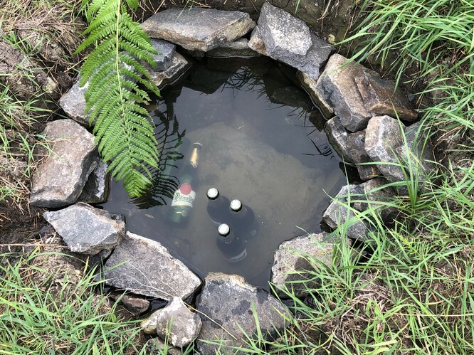 Studánka v mokřadu, rok 2022.