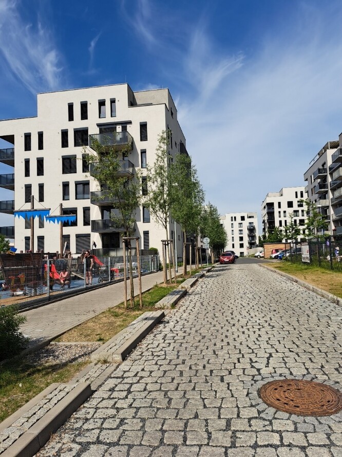 Obr. 3. Zatravněný průleh se stromy (SUOMI Hloubětín).