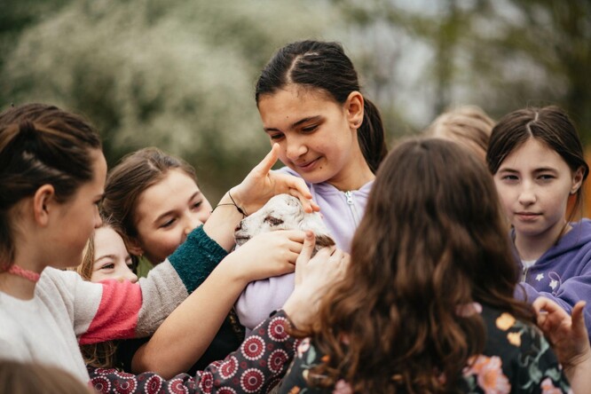 Ilustrační foto