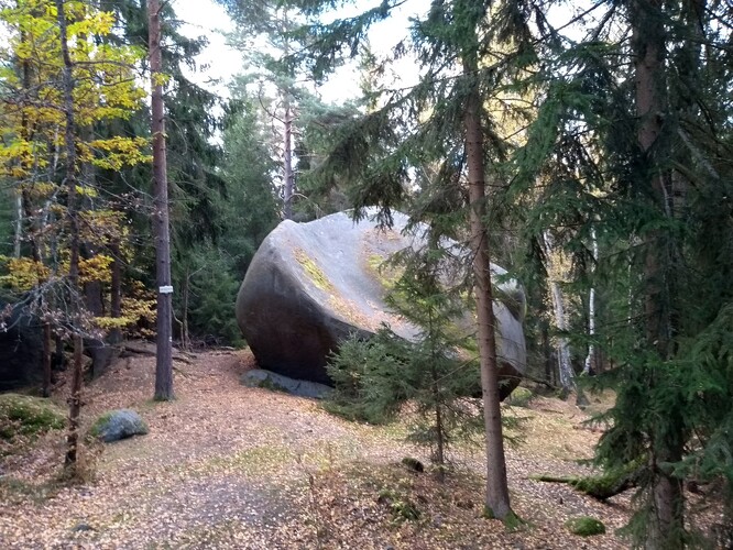 Energetická koncepce Greenpeace a Hnutí Duha, hlavně její velké nároky na využití biomasy, by extrémně zvýšila na zemědělskou a lesní krajinu a naše životní prostředí. Lesy v okolí Žihle.