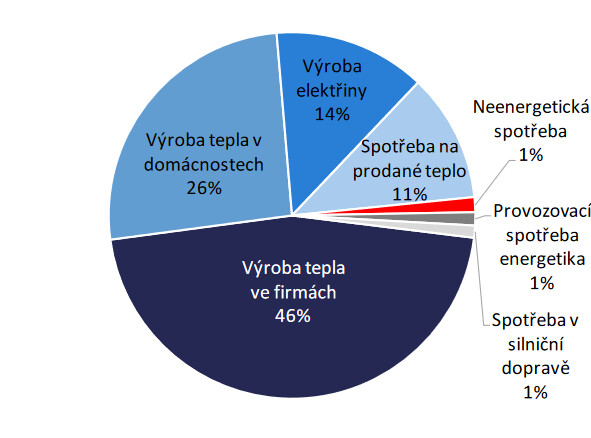 Spotřeba zemního plynu v ČR dle užití paliva (2020). 