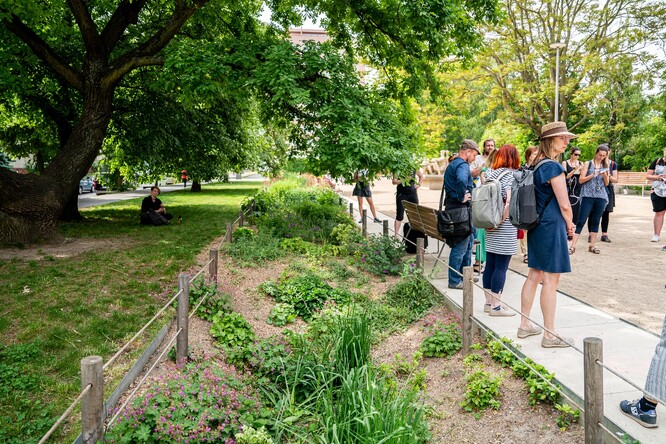 Obr. 9. Dešťový záhon a přívod vody kanálky (park U Kněžské louky).