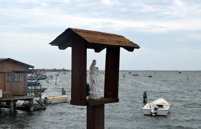 Sacca degli Scardovari.