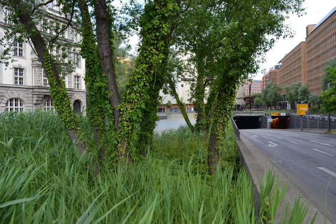 Obr. 27. Městské jezero na Potsdamer Platz a vjezd do podzemních garáží pod ním.