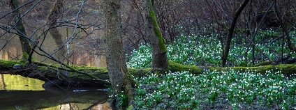 foto: Vít Černý Regionální turistické informační centrum Česká lípa 