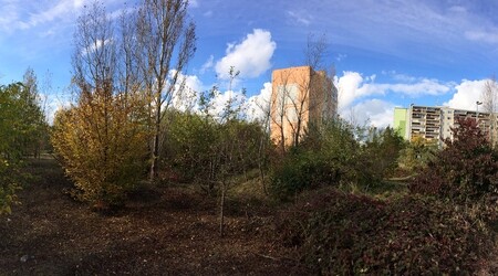 Pozemek označovaný Divočina, leží na kraji sídliště Vybíralka na Černém Mostě.  Hlavní město podpoří přeměnu zanedbaného místa na prostor pro setkávání. 