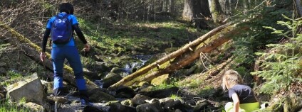 Foto: Rokling