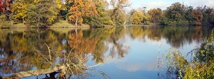 Zámecký rybník v Lednici na podzim Foto: Jan Helebrant Flickr