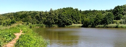 Foto: Packa / Wikimedia Commons