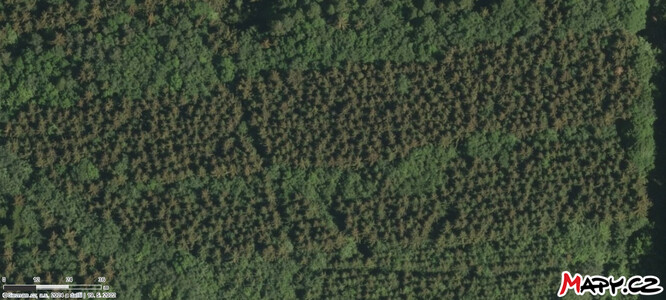 Střídání pásů porostu smrku a buku se jeví ideální kombinací do sušších let klimatické změny. 