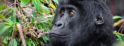 Foto: Miroslav Bobek / Zoo Praha