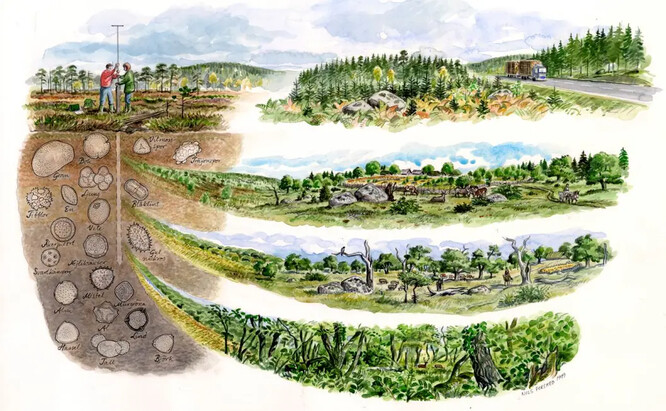 Archeolog odebírá vzorky pylu nalezené v půdě, aby pochopil měnící se vegetaci na lokalitě: technika, která doplňuje analýzu skořápek lískových ořechů, kterou provedli autoři.
