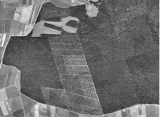 Letecký snímek z roku 1938 jasně dokazuje velké množství ponechaných výstavků, které jsou znatelné dodnes. Ze zpracovaného historického průzkumu hospodaření PR Žernov jasně vyplývá, že velká část porostů dnešní rezervace vznikla jako střední les.