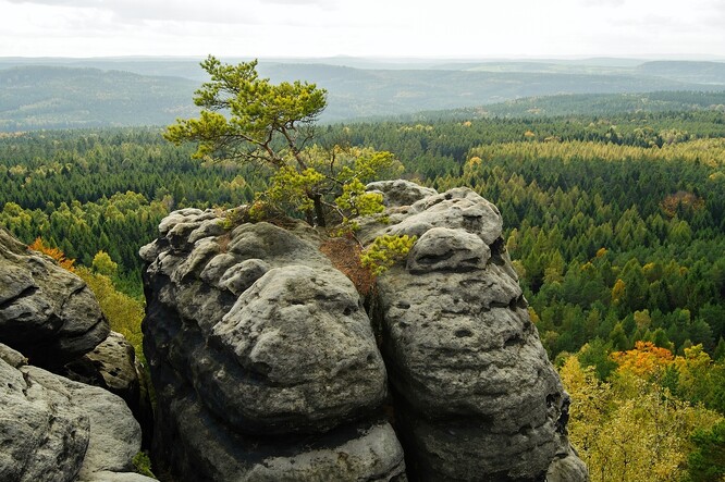 Turisté budou moci na stezky, které nebyly bezprostředně zasaženy ohněm a žádné nebezpečí pro návštěvníky tam nehrozí