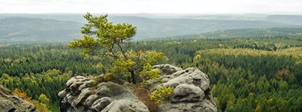 NP České Švýcarsko Foto: Depositphotos
