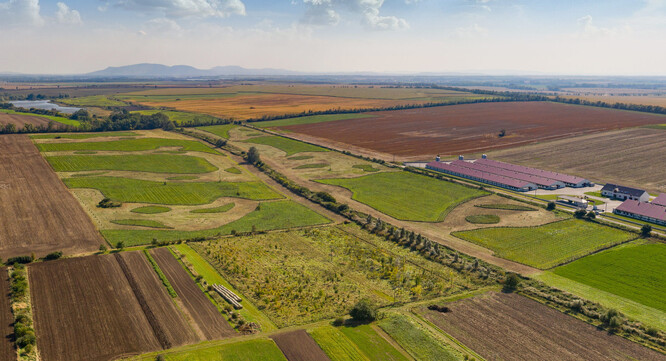 Založení biocenter a biokoridorů u Šumic na Brněnsku.