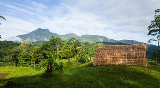  Jedna ze zkoumaných oblastí bylo okolí sopky Mt. Balbi, nejvyšší hory Bougainville. 