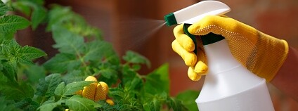 Foto: Lyashenko Egor / Shutterstock