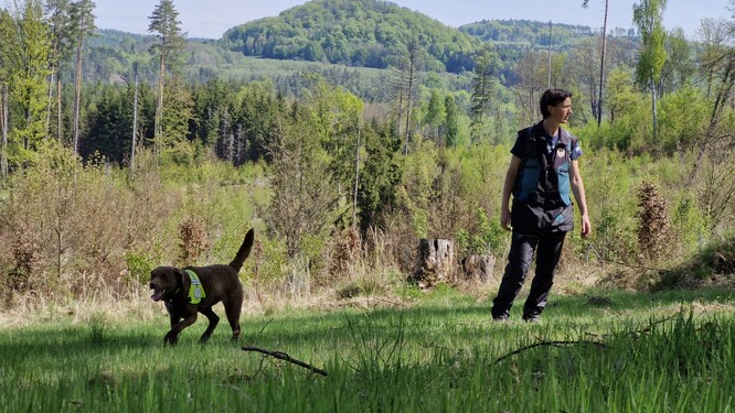 Správa NP České Švýcarsko navázala spolupráci s „psí jednotkou“ Českého svazu ornitologického, pro lepší prevenci travičství a dalších druhů environmentální kriminality. Na snímku psovodka Klára Hlubocká z ČSO, se speciálně cvičenými Chesapeake Bay retrívry Viky a Irbis. 