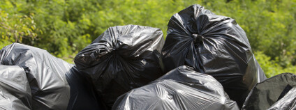 foto: wellphoto / Shutterstock 