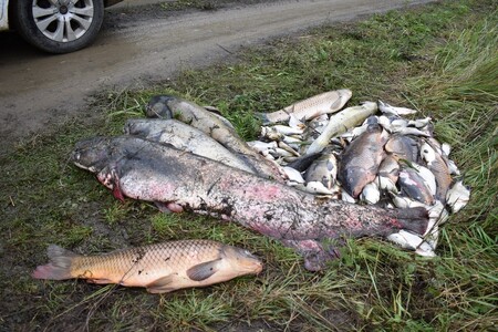Česká inspekce životního prostředí odebrala minulý týden vzorky vody, výsledky budou známé za několik dní. Místo se nachází na území staré německé štoly. 