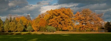 foto: Dendrologická zahrada Průhonice