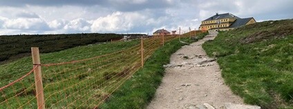 Nově umístěný plot na Sněžce má ochránit vzácnou přírodu na nejvyšší české hoře Foto: Radek Drahný Archiv a Facebook Správy KRNAP
