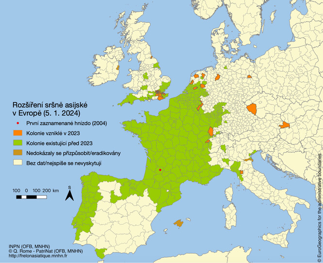 Rozšíření sršně asijské v Evropě k 5. 1. 2024