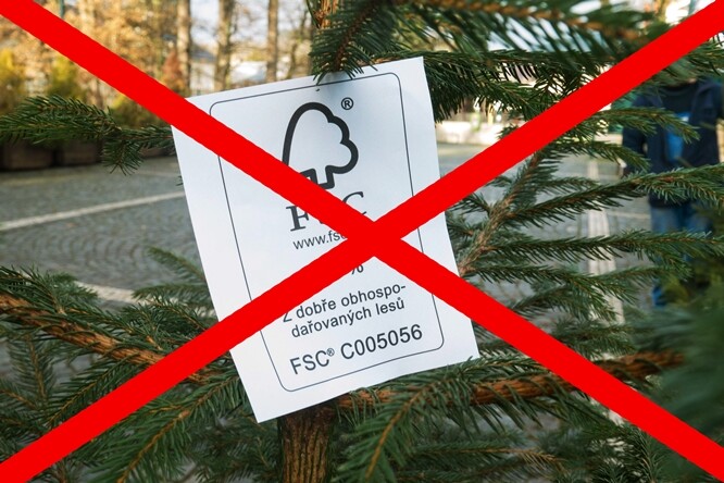 Plantáže pro pěstování vánočních stromků v Krkonošském národním parku nejsou a umělé výsadby, z nichž se při prořezávkách daly vánoční stromky vybrat, již odrůstají. V posledních letech se krkonošští lesníci snažili nabídnout stromky z volného lesa, které by při tzv. výchovných zásazích stejně museli vyřezat.
