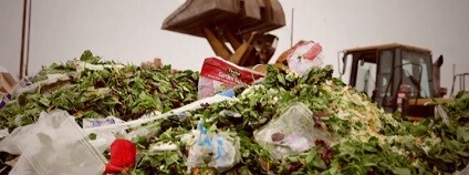 foto: PBS NewsHour / youtube.com