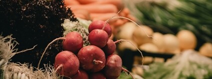 Trh Foto: Tolga Ahmetler Unsplash