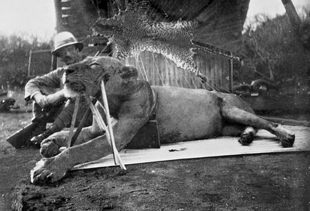 Jeden z ulovených Duchů z Tsavo a lovec John Henry Patterson.