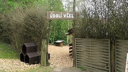 Údolí včel vytvořili pracovníci zoo v doposud neudržovaném koutě zahrady se stromy a terénními nerovnostmi.