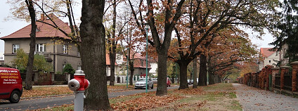 Foto: SZKT