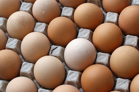 Vejce a výrobky z nich kontaminované insekticidem fipronil se objevily v téměř dvou desítkách zemí EU včetně Německa, Rakouska, Belgie, Nizozemska či Polska. Česká republika mezi zasaženými zeměmi není. / ilustrační foto