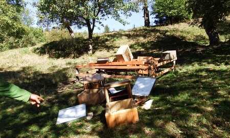 Medvědem zničený včelín.