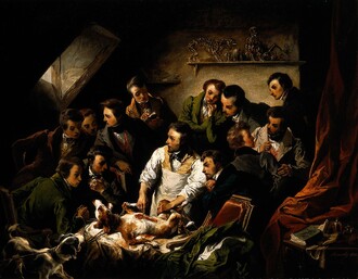 Demonstrace fyziologie při vivisekci psa. 1832